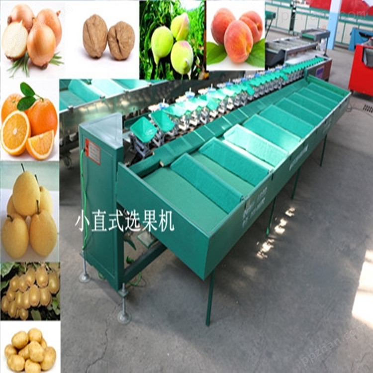 水蜜桃选果机机械式重量分选适用于多种果蔬