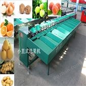 XGJ-z水蜜桃选果机机械式重量分选适用于多种果蔬