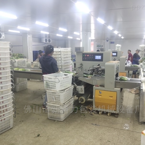 广州叶菜自动包装机