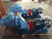 NYP高粘度齿轮泵型号 (5)