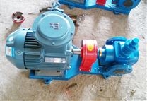 YCB30-0.6圆弧齿轮泵