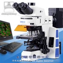 科研级正置荧光显微镜XSP-SG-63XF