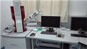 扫描电子显微镜（FESEM-EDS测试）