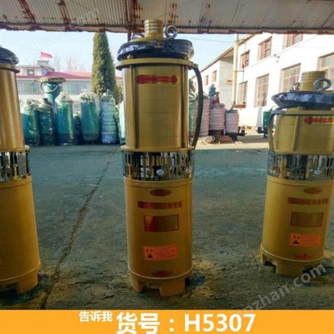 变频潜水泵 立式潜水泵 压力潜水泵货号H5307