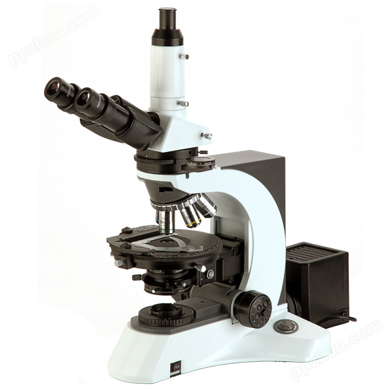 NP-800M偏光显微镜
