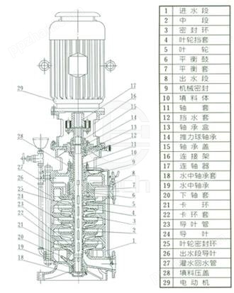 DL多级离心泵 结构图