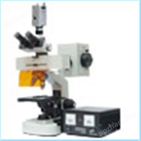 生物荧光显微镜 CFM-100