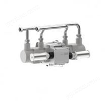 Dürr 气动活塞泵EcoPump HP 800 21