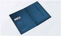 封套设计印刷-特规[规格215*305mm]进口蓝卡-丝网印刷