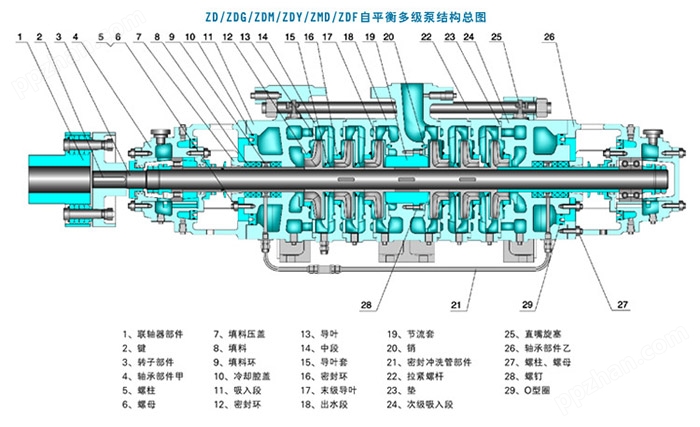 ZDF6-25耐腐蚀自平衡多级离心泵结构图