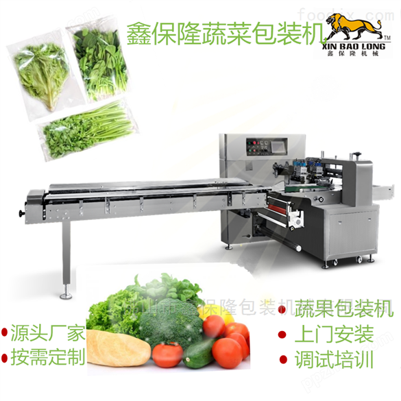 蔬菜多功能枕式包装机多少钱